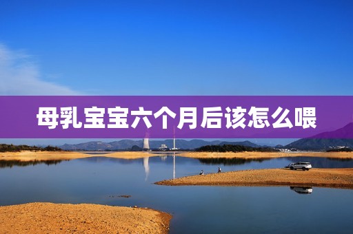 母乳宝宝六个月后该怎么喂