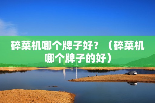 碎菜机哪个牌子好？（碎菜机哪个牌子的好）