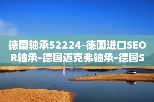 德国轴承52224-德国进口SEOR轴承-德国迈克弗轴承-德国SEOR进口轴承