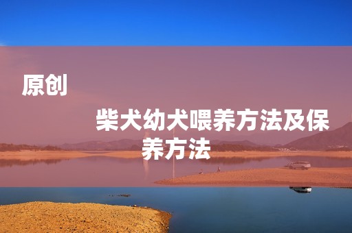 原创
            柴犬幼犬喂养方法及保养方法