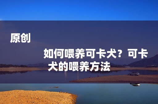 原创
            如何喂养可卡犬？可卡犬的喂养方法