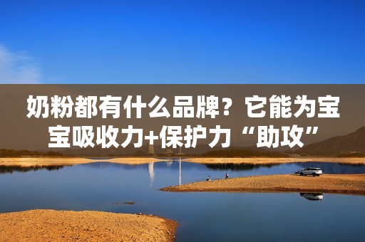 奶粉都有什么品牌？它能为宝宝吸收力+保护力“助攻”
