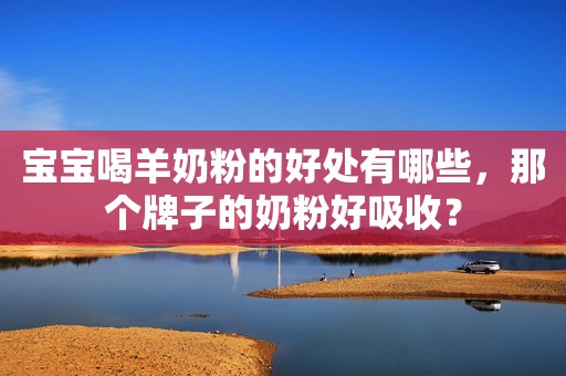 宝宝喝羊奶粉的好处有哪些，那个牌子的奶粉好吸收？