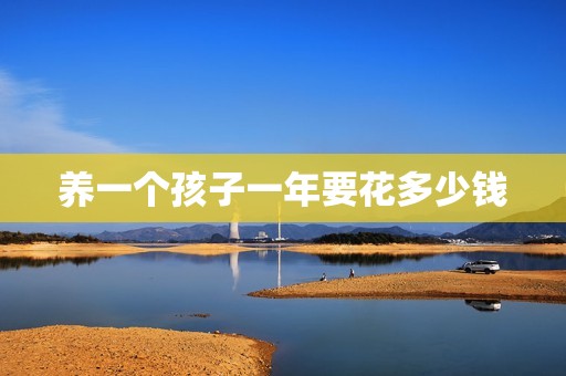 养一个孩子一年要花多少钱