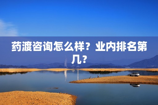药渡咨询怎么样？业内排名第几？
