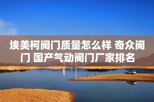 埃美柯阀门质量怎么样 奇众阀门 国产气动阀门厂家排名