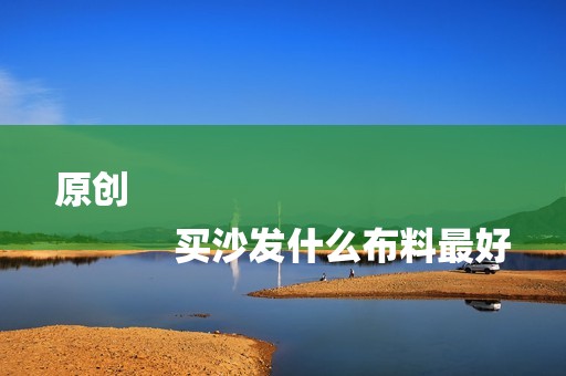 原创
            买沙发什么布料最好