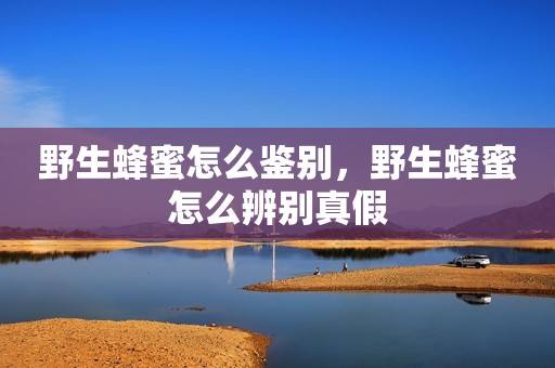 野生蜂蜜怎么鉴别，野生蜂蜜怎么辨别真假