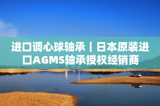 进口调心球轴承｜日本原装进口AGMS轴承授权经销商