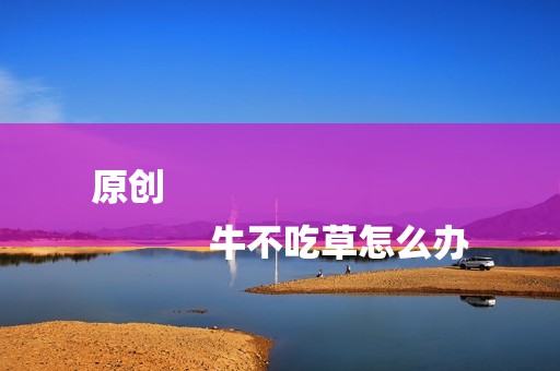 原创
            牛不吃草怎么办