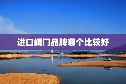 进口阀门品牌哪个比较好
