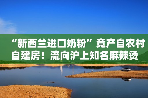 “新西兰进口奶粉”竟产自农村自建房！流向沪上知名麻辣烫店、面包店