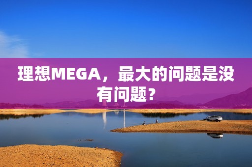 理想MEGA，最大的问题是没有问题？