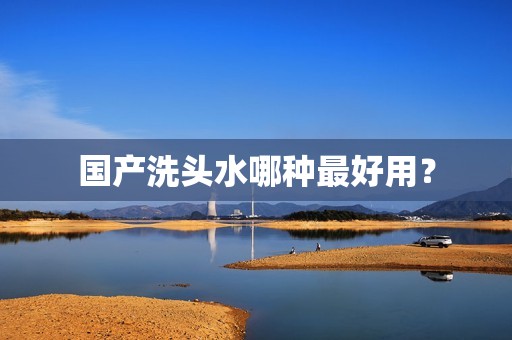 国产洗头水哪种最好用？