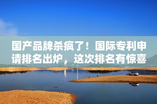 国产品牌杀疯了！国际专利申请排名出炉，这次排名有惊喜