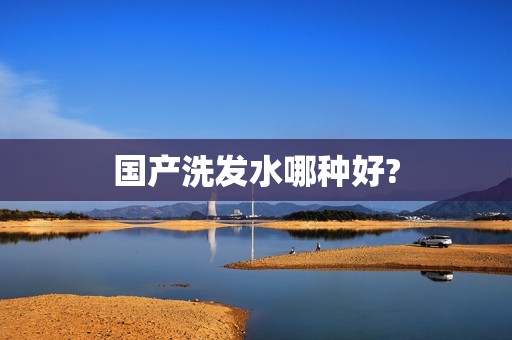 国产洗发水哪种好?