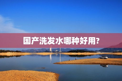 国产洗发水哪种好用?