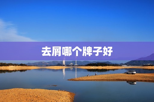 去屑哪个牌子好