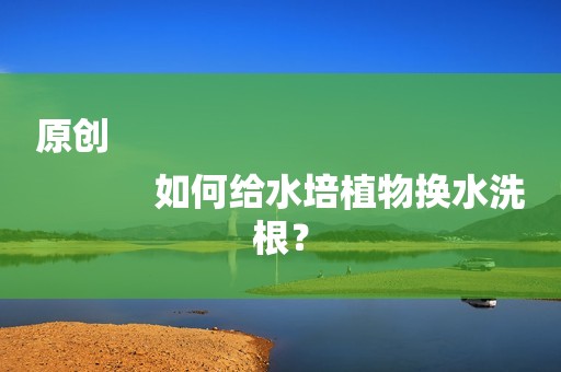 原创
            如何给水培植物换水洗根？