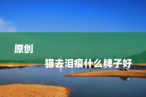 原创
            猫去泪痕什么牌子好