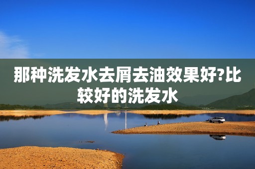 那种洗发水去屑去油效果好?比较好的洗发水