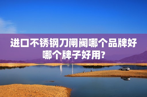 进口不锈钢刀闸阀哪个品牌好哪个牌子好用?