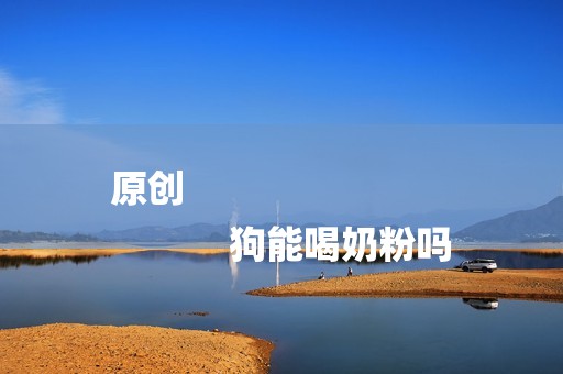 原创
            狗能喝奶粉吗