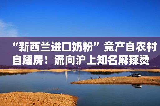 “新西兰进口奶粉”竟产自农村自建房！流向沪上知名麻辣烫店、面包店......