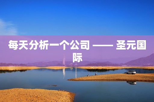 每天分析一个公司 —— 圣元国际