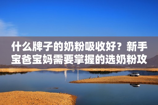 什么牌子的奶粉吸收好？新手宝爸宝妈需要掌握的选奶粉攻略