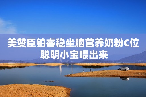 美赞臣铂睿稳坐脑营养奶粉C位 聪明小宝喂出来