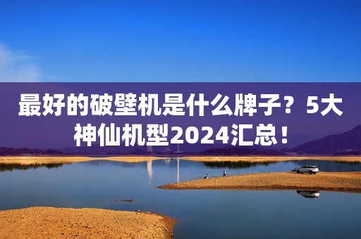 最好的破壁机是什么牌子？5大神仙机型2024汇总！