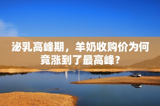 泌乳高峰期，羊奶收购价为何竟涨到了最高峰？