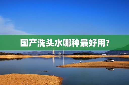 国产洗头水哪种最好用?