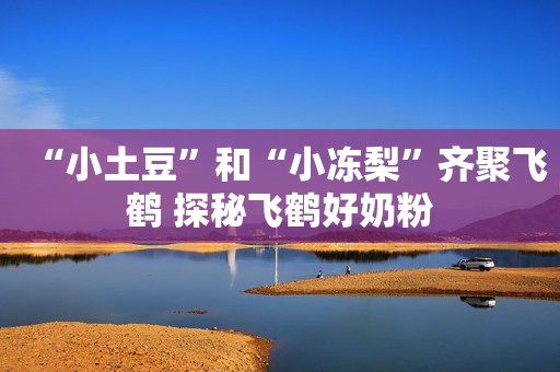 “小土豆”和“小冻梨”齐聚飞鹤 探秘飞鹤好奶粉