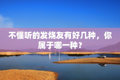 不懂听的发烧友有好几种，你属于哪一种？