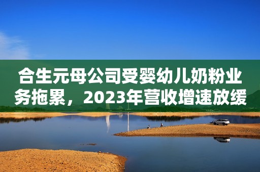 合生元母公司受婴幼儿奶粉业务拖累，2023年营收增速放缓