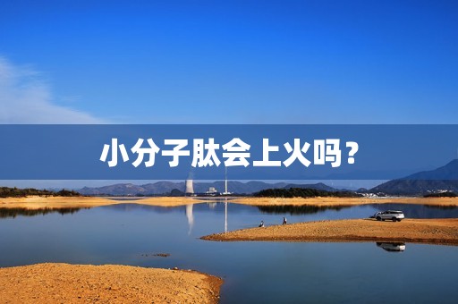 小分子肽会上火吗？