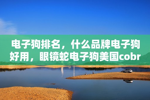 电子狗排名，什么品牌电子狗好用，眼镜蛇电子狗美国cobra原装进口移动测速
