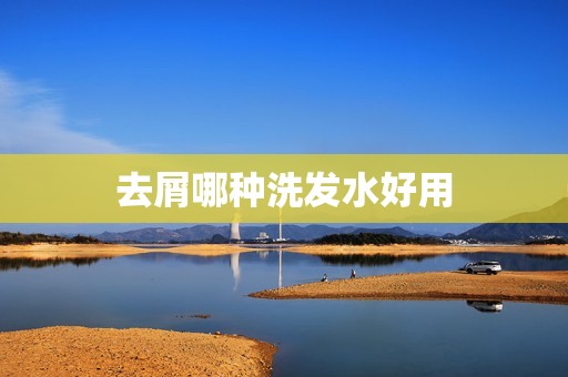 去屑哪种洗发水好用
