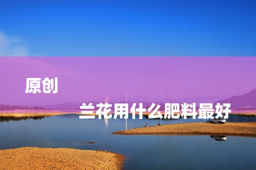 原创
            兰花用什么肥料最好