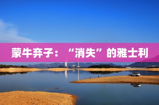 蒙牛弃子：“消失”的雅士利