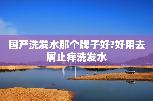 国产洗发水那个牌子好?好用去屑止痒洗发水