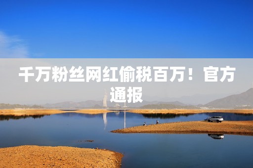 千万粉丝网红偷税百万！官方通报