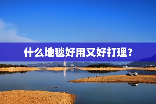 什么地毯好用又好打理？