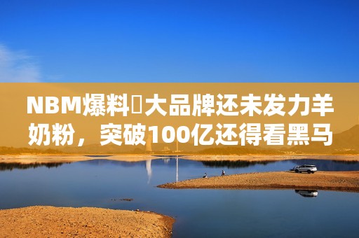 NBM爆料⑬大品牌还未发力羊奶粉，突破100亿还得看黑马