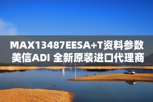 MAX13487EESA+T资料参数 美信ADI 全新原装进口代理商S-422 RS-485接口IC