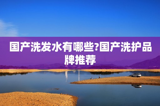 国产洗发水有哪些?国产洗护品牌推荐