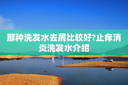 那种洗发水去屑比较好?止痒消炎洗发水介绍