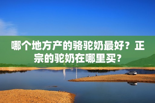 哪个地方产的骆驼奶最好？正宗的驼奶在哪里买？